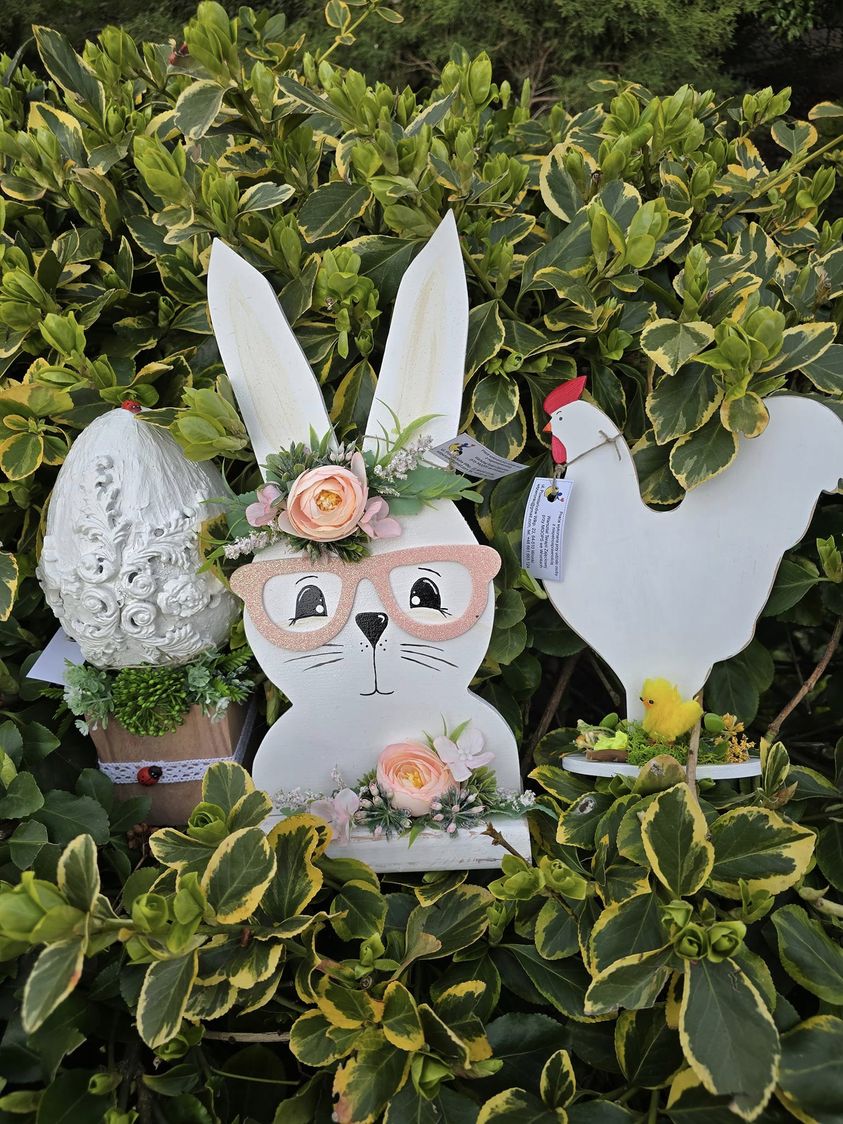 434636258_939394504642972_5970822731218238439_n